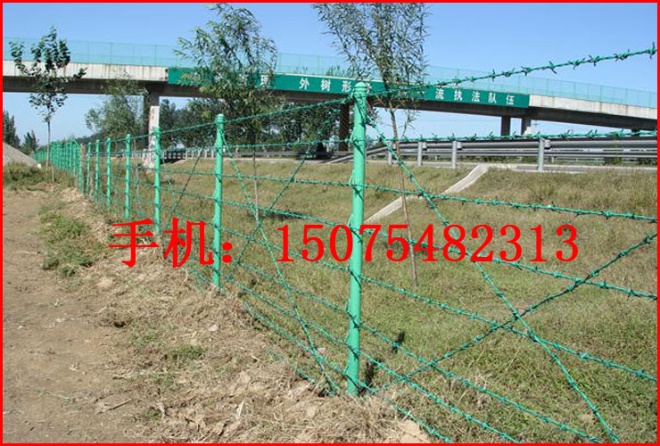 刺绳围栏网