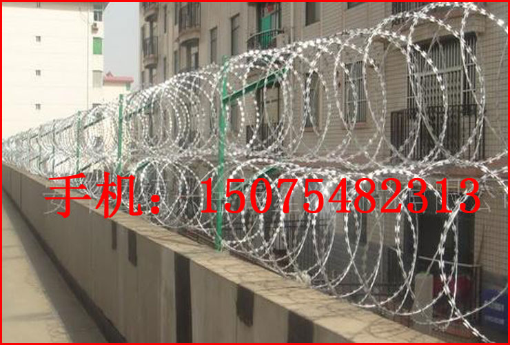 刀片刺绳围栏网