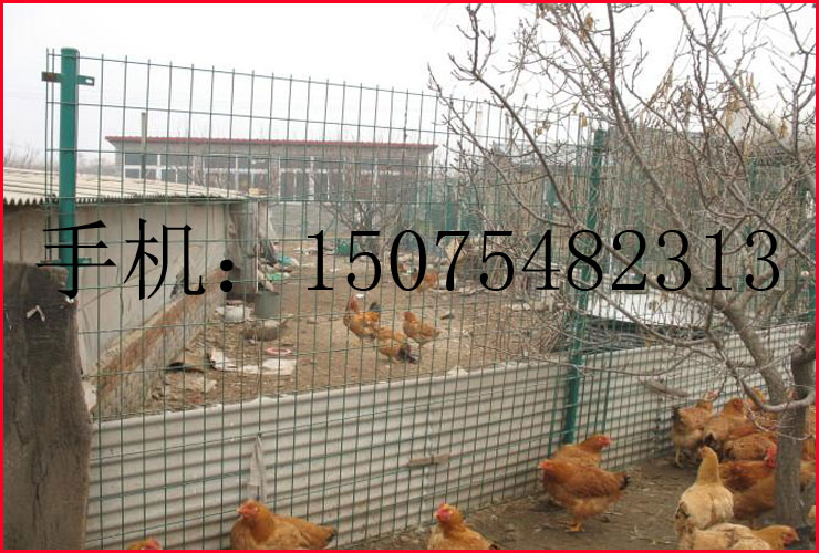 养殖场围栏网