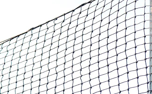 2026081511324412.webp 02.webp