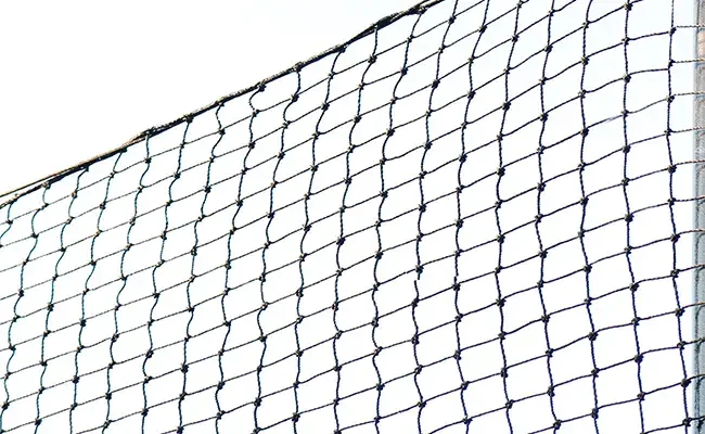 2026081511324412.webp 02.webp