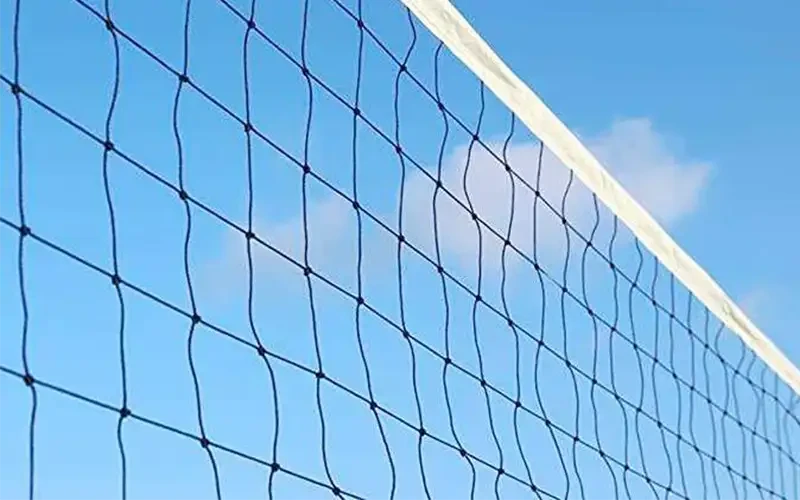 003.webp