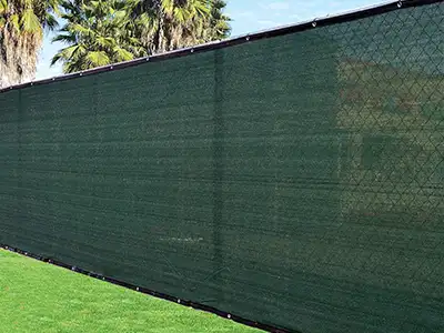 Sports Screen